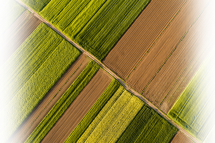 Agriculture