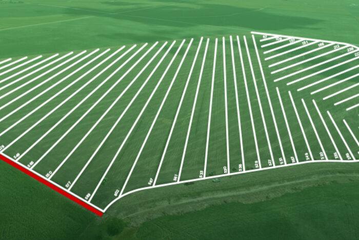 Tile Design Services