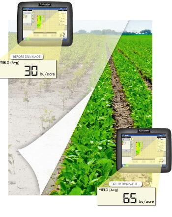 Yield before after drainage