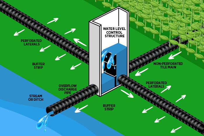 Saturated Buffer Strips