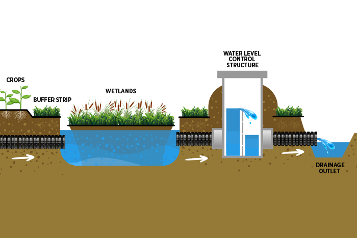 Smart Wetlands